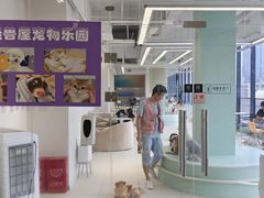 -怪兽屋·羊驼·猫咖·狗咖(俊华广场店)