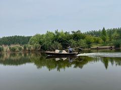 -滕州微山湖红荷湿地景区