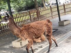 -西安秦岭野生动物园