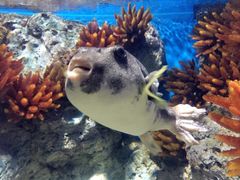 -福州罗源湾海洋世界旅游区