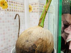 -玉椰林甜品店(创始店)