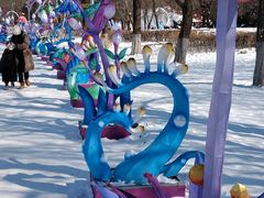 -沈阳奥体冰雪嘉年华