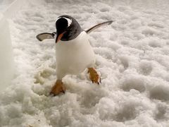 -哈尔滨热雪奇迹