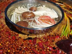 -一斗火锅·招财羊毛肚(泰吉滨江店)