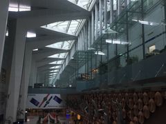-英迪拉·甘地国际机场