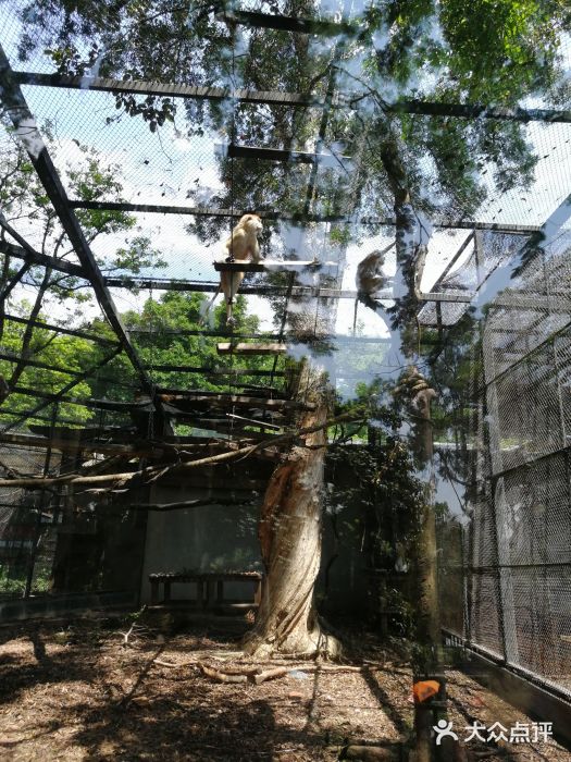 廣州動物園-圖片-廣州景點/周邊遊-大眾點評網