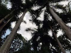 -南宁南湖公园