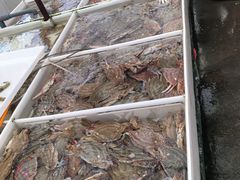 -毕家疃综合市场