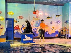 -太平洋海底世界