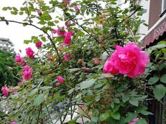 -欧洲房子(宜必思店)