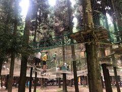 -武陵山森林公园