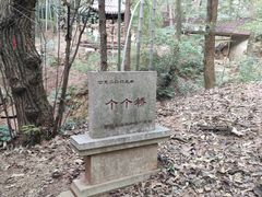 -宝岩生态观光园