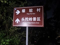 -紫金山山顶公园