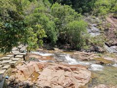 -广州白江湖森林公园