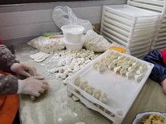 -李氏东北饺子王·铁锅炖(回龙湾店)