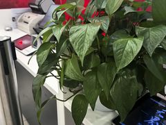 -中国工商银行(虹口龙之梦支行)