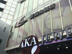 -秋叶原电器街