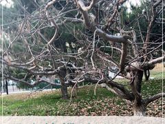 -元大都城垣遗址公园