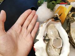 -蚝得喜海鲜(东城店)