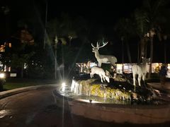 -清迈夜间动物园