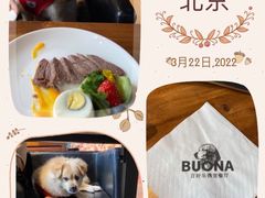 -百好乐宠物友好餐厅(朝外大街店)