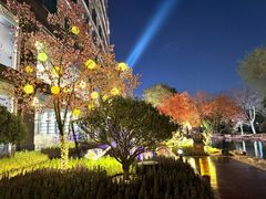 -青岛鑫江温德姆酒店