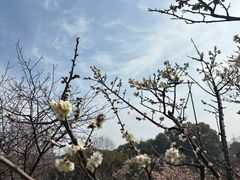 -无锡梅园公园