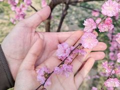 -石家庄正定国际机场-T2航站楼