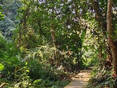 -中国科学院西双版纳热带植物园