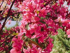 -锦尚阁烤鱼(望京新荟城店)