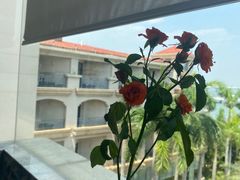 -V Bar海景扒房(北海湾惠龙万达嘉华酒店)