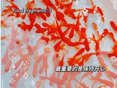 -清平路水族市场