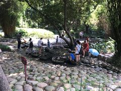 -成都市活水公园