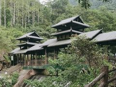 -紫云谷景区