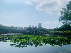 -深圳龙潭公园