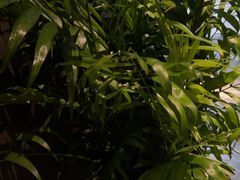 -唐宫足道·SPA·住宿24H会所(木渎店)