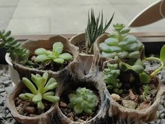 -川匠·睡眠采耳·SPA(九眼桥店)