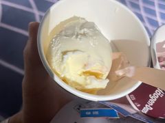 -哈根达斯(西安高新店)