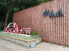 -银湖山郊野公园-相思林