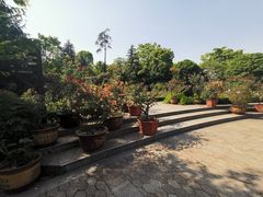 -南山植物园