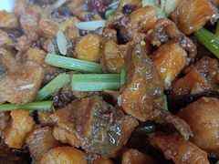 -白氏鲶鱼汤(白亮1号店)