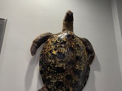 -游龙石文化科普馆