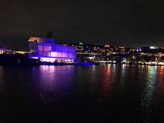 -欢乐海岸椰林沙滩-2025湾区超级灯会