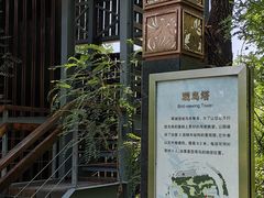 -翠湖国家城市湿地公园