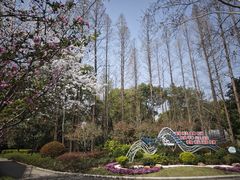 -徐家汇源景区-衡山公园