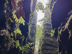 -梭布垭石林景区