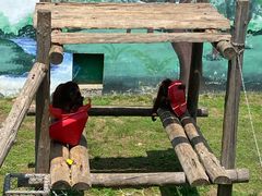 -西霞口神雕山野生动物世界