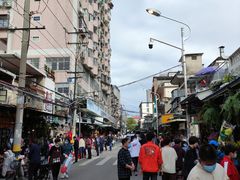 -溪岸路花鸟市场