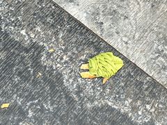 -吴裕泰茶庄(前门大街店)