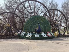 -呀路古热带植物园